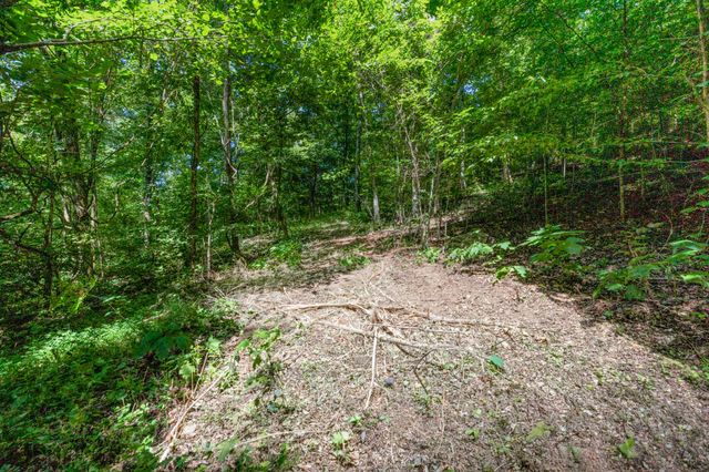 2952 Springplace Rd, Belfast, TN 37019