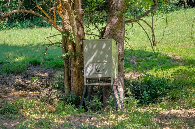 2952 Springplace Rd, Belfast, TN 37019