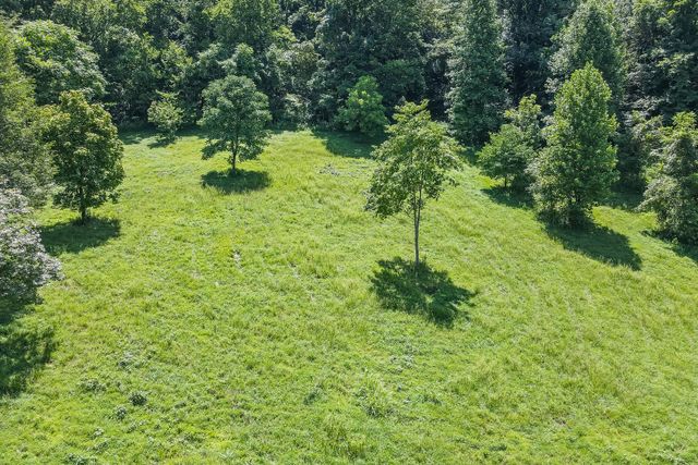 2952 Springplace Rd, Belfast, TN 37019