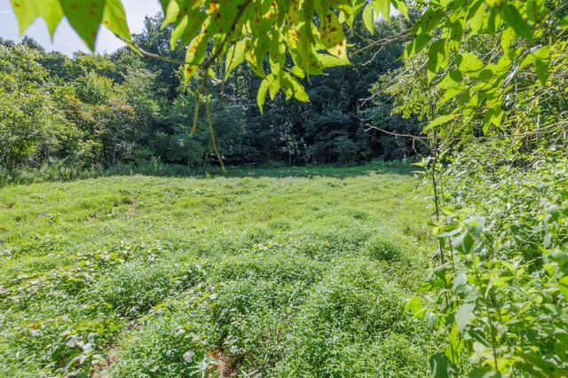 2952 Springplace Rd, Belfast, TN 37019