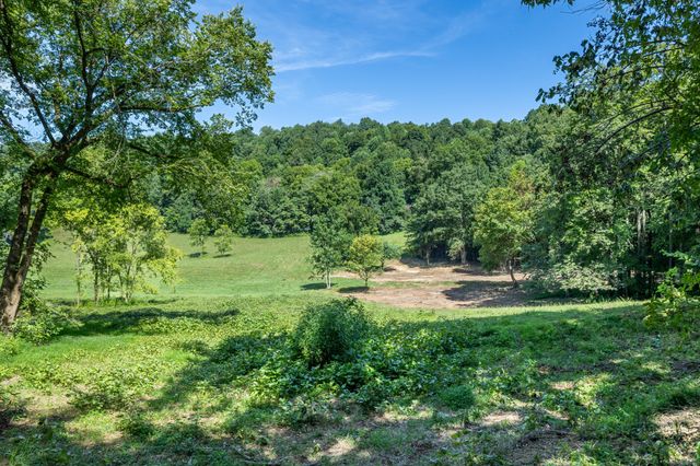 2952 Springplace Rd, Belfast, TN 37019