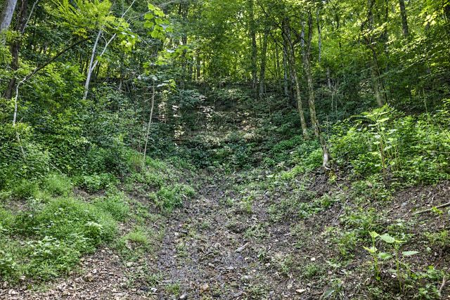 2952 Springplace Rd, Belfast, TN 37019