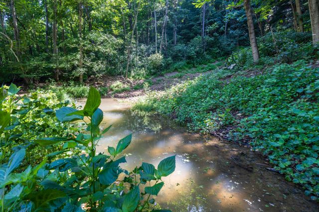 2952 Springplace Rd, Belfast, TN 37019