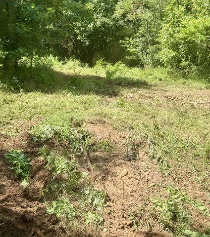 2952 Springplace Rd, Belfast, TN 37019