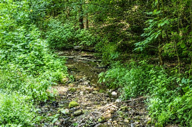 2952 Springplace Rd, Belfast, TN 37019