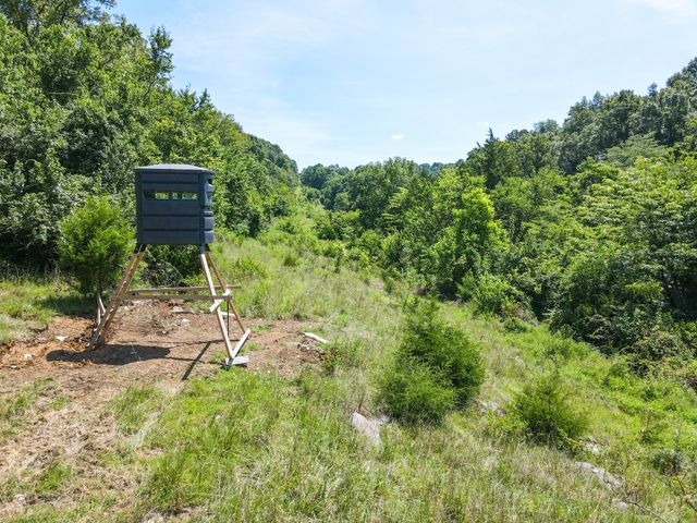 2952 Springplace Rd, Belfast, TN 37019