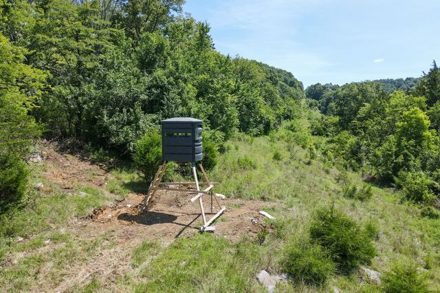 2952 Springplace Rd, Belfast, TN 37019