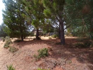 10265 Fairway, Kelseyville, CA 95451