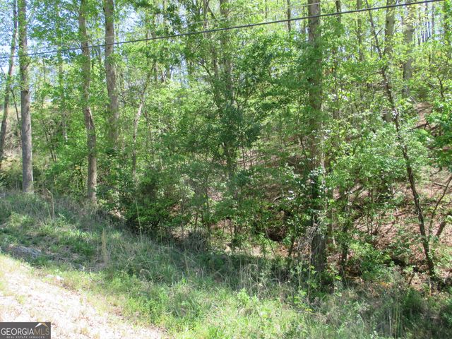 0 Morrison Moore Parkway E, Dahlonega, GA 30533