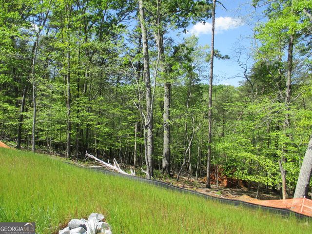 0 Morrison Moore Parkway E, Dahlonega, GA 30533