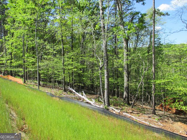 0 Morrison Moore Parkway E, Dahlonega, GA 30533