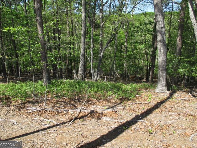 0 Morrison Moore Parkway E, Dahlonega, GA 30533