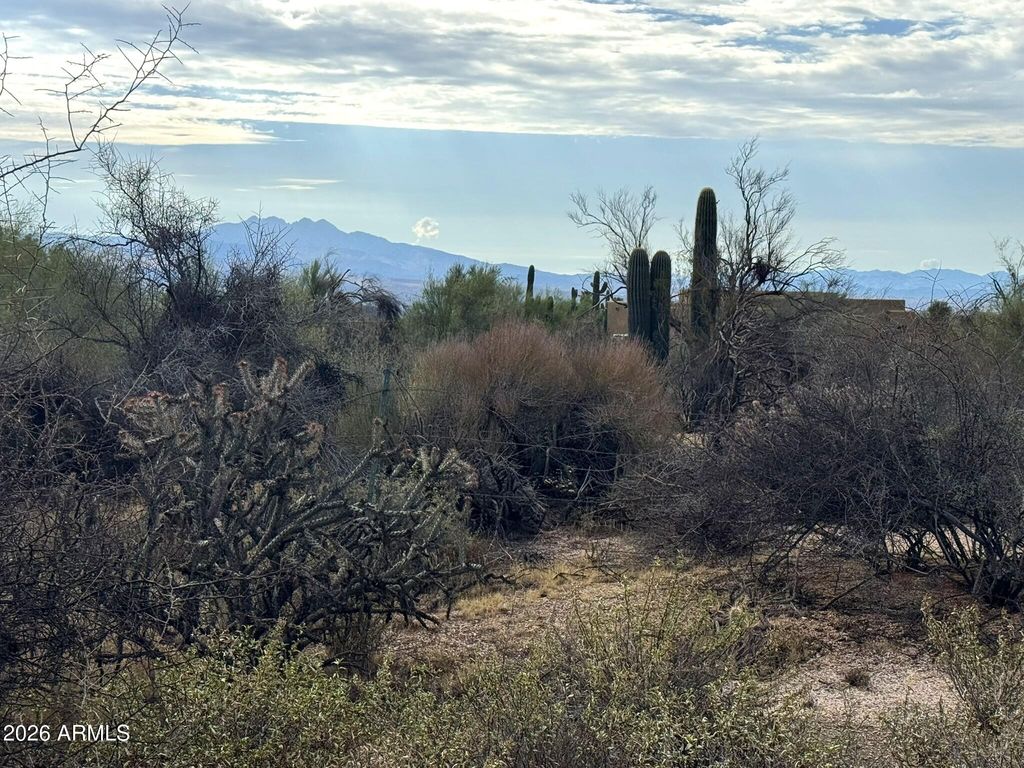 270XX N 158th Street -, Scottsdale, AZ 85262 — photo 4