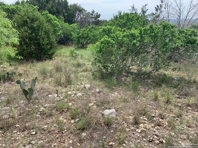 358 Toucan, Spring Branch, TX 78070