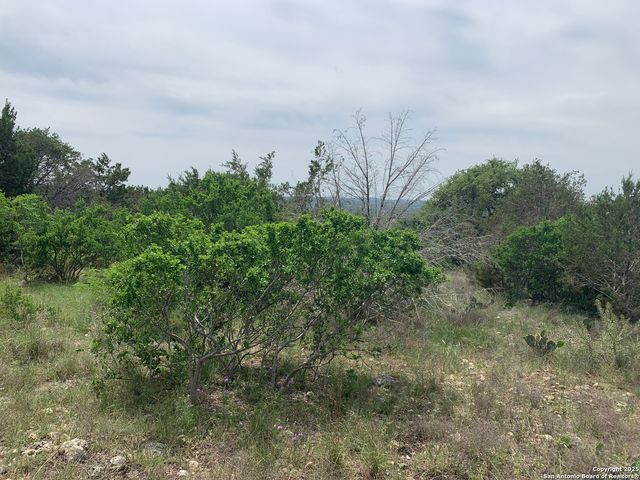 358 Toucan, Spring Branch, TX 78070