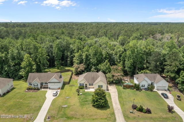 305 Appaloosa Court, Swansboro, NC 28584