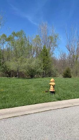 17498-17500 Susan Lane, Lowell, IN 46356