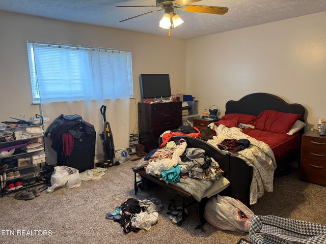 3707 Moss Lane, Louisville, TN 37777