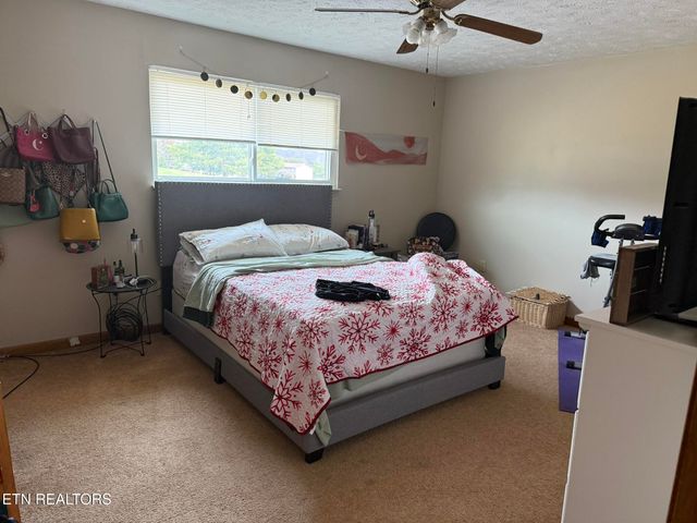 3707 Moss Lane, Louisville, TN 37777