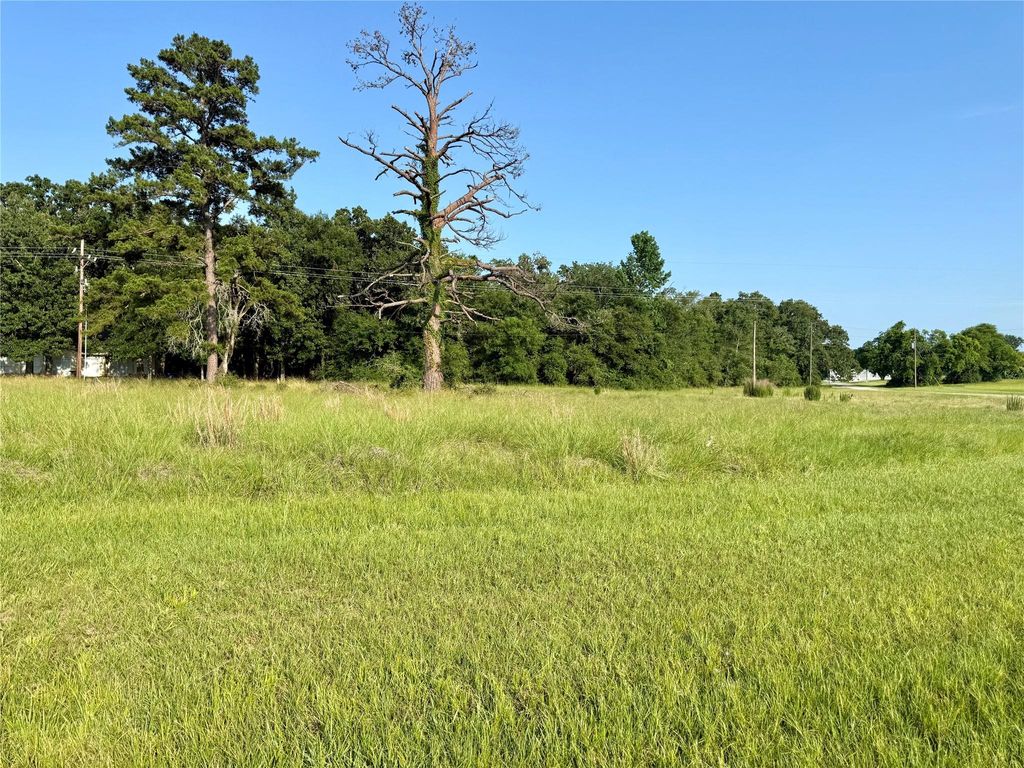 TBD Hot Springs Drive, Trinity, TX 75862