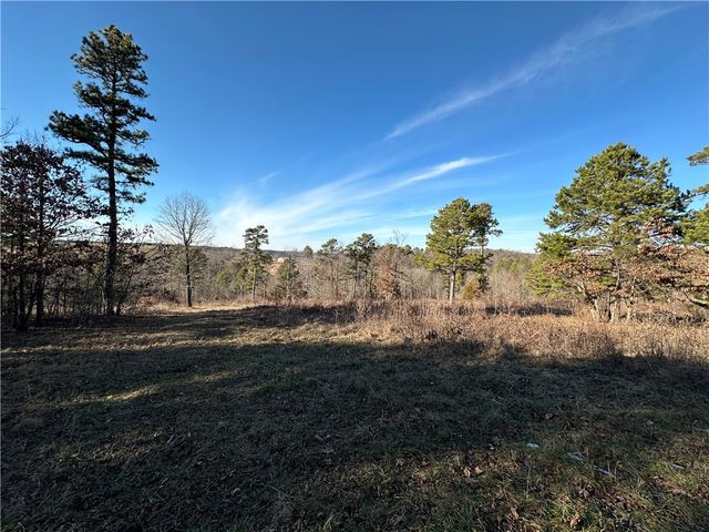 woodhaven Drive, Hindsville, AR 72738