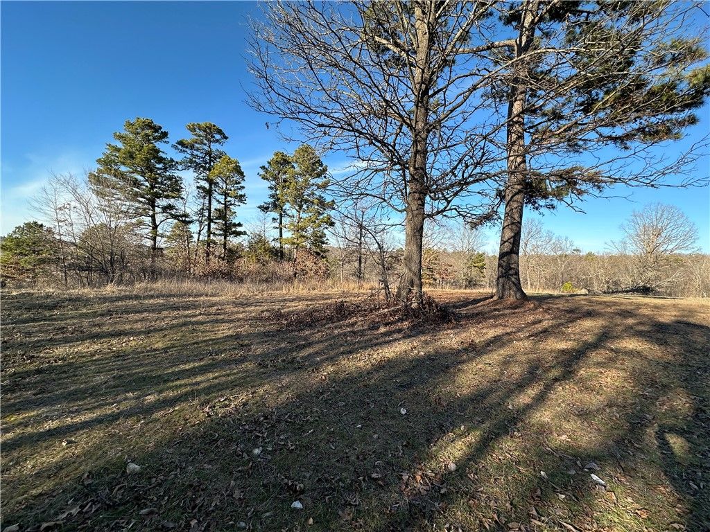woodhaven Drive, Hindsville, AR 72738