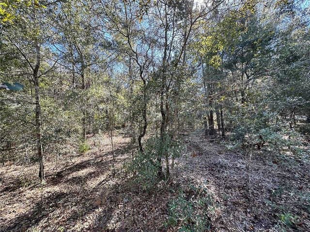 TBD NE NE 85TH AVENUE, Bronson, FL 32621