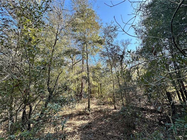 TBD NE NE 85TH AVENUE, Bronson, FL 32621