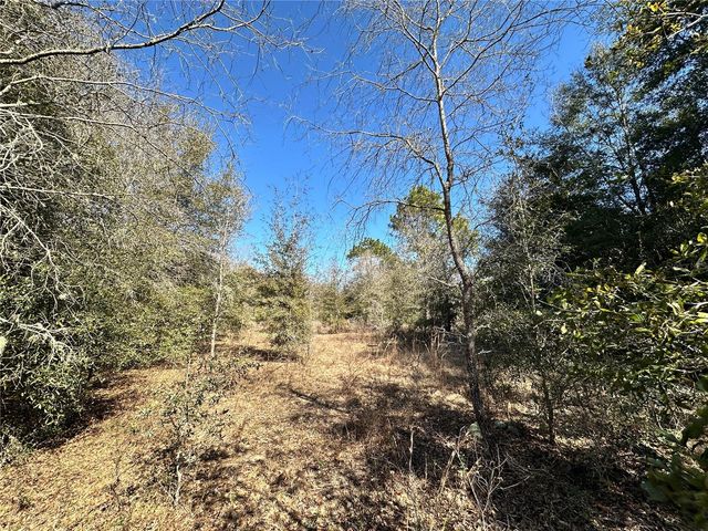 TBD NE NE 85TH AVENUE, Bronson, FL 32621