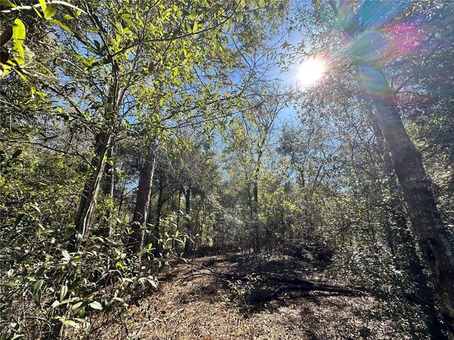 TBD NE NE 85TH AVENUE, Bronson, FL 32621