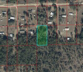 TBD NE NE 85TH AVENUE, Bronson, FL 32621