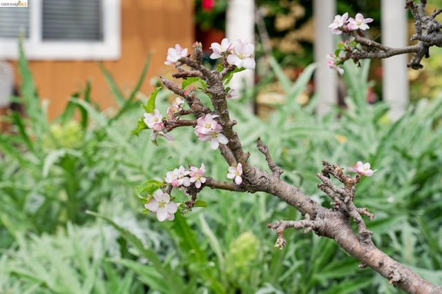 480 42Nd St E, Oakland, CA 94609