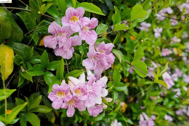 480 42Nd St E, Oakland, CA 94609