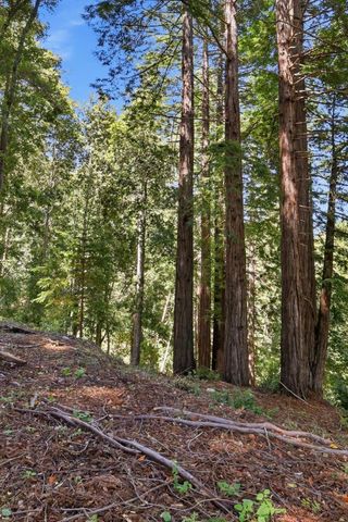 375 Blair Ranch Road, Scotts Valley, CA 95066