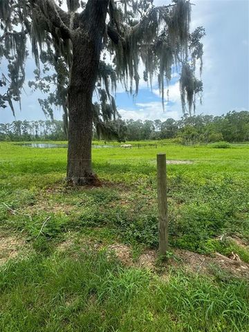 11522 DEAD RIVER ROAD, Tavares, FL 32778