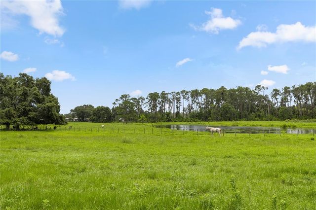 11522 DEAD RIVER ROAD, Tavares, FL 32778