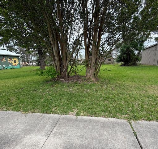 221 E Brazos Avenue, West Columbia, TX 77486