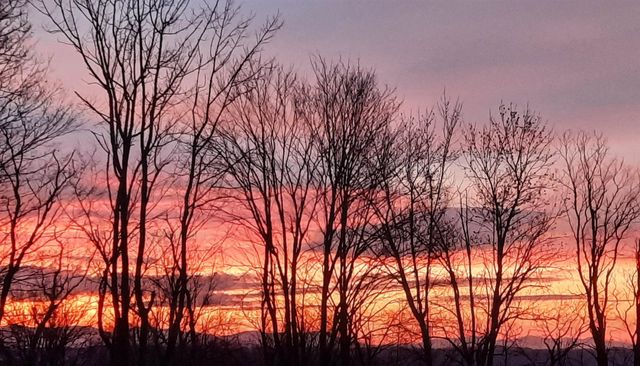 977 Bates Road, Shoreham, VT 05770