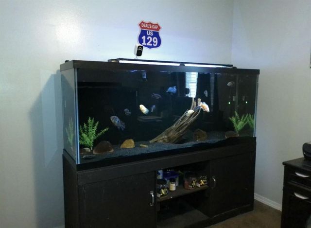 8630 Palmer Woods Drive, Semmes, AL 36575