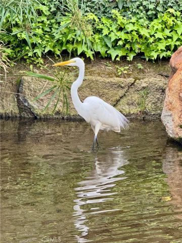 4140 Workman Mill 253, Whittier, CA 90601