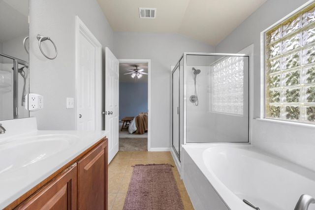 17711 Linkhill DR, Dripping Springs, TX 78620