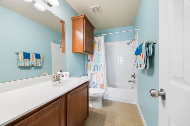17711 Linkhill DR, Dripping Springs, TX 78620