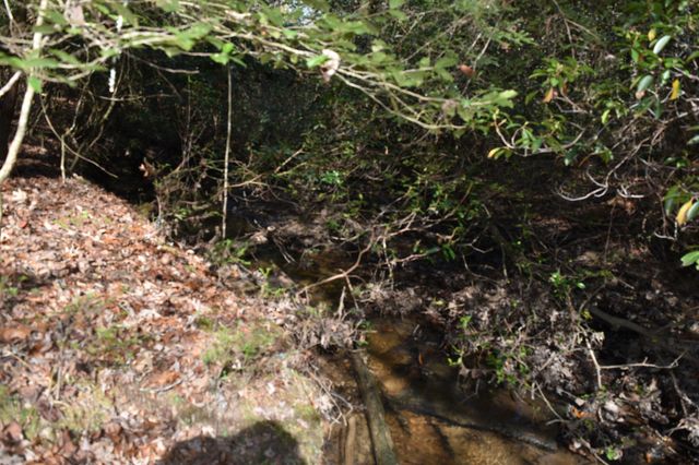 305 Timberwood Trace, Monteagle, TN 37356