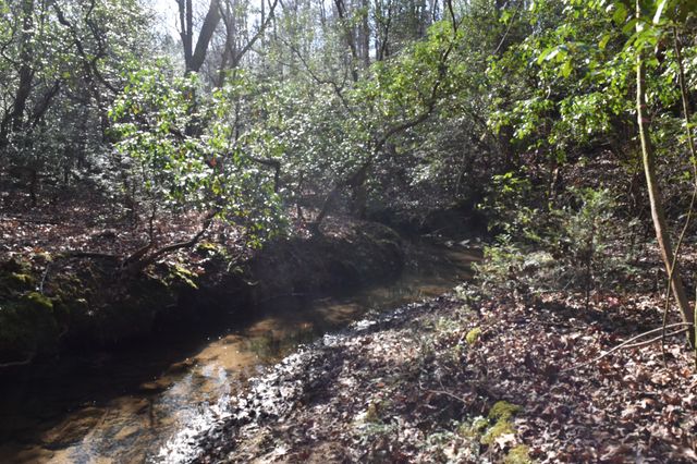 305 Timberwood Trace, Monteagle, TN 37356