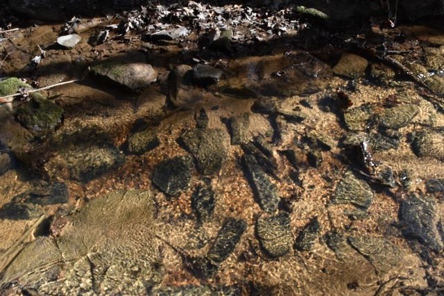 305 Timberwood Trace, Monteagle, TN 37356