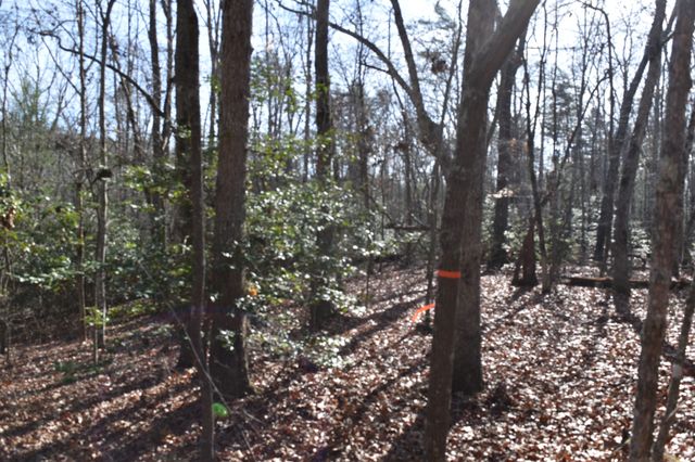 305 Timberwood Trace, Monteagle, TN 37356