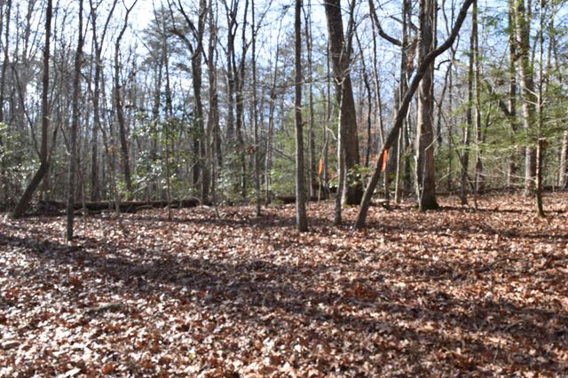 305 Timberwood Trace, Monteagle, TN 37356