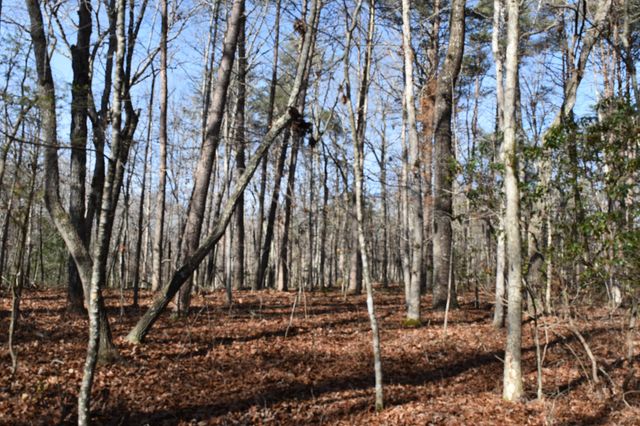 305 Timberwood Trace, Monteagle, TN 37356