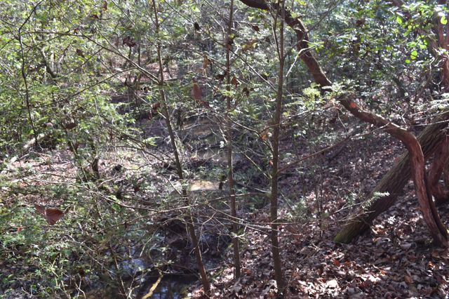 305 Timberwood Trace, Monteagle, TN 37356