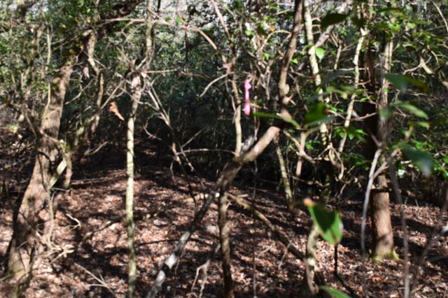 305 Timberwood Trace, Monteagle, TN 37356